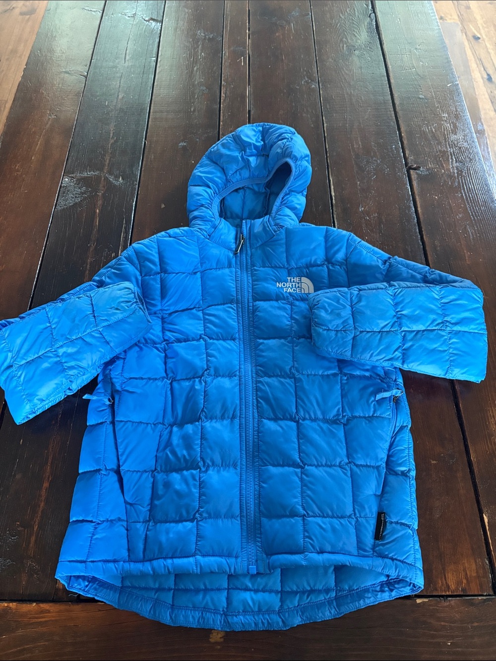 The North Face Kids Bright Blue Hooded Puffer Jacket